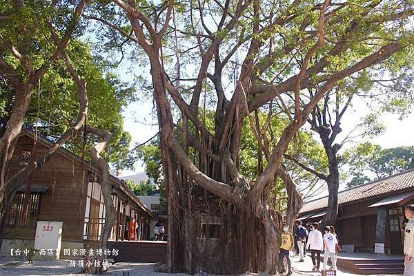 【台中景點/台中博物館】國家漫畫博物館⎪歷經8個月籌備，台中