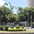 thumb_IMG_5512_1024.jpg