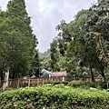 thumb_IMG_0093_1024.jpg