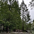 thumb_IMG_0092_1024.jpg
