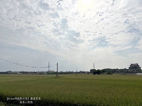 【彰化埤頭brunch】A-bao埤頭彰水店 ⎪一個慢步調