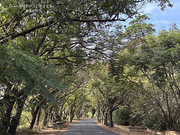 【彰化埤頭brunch】A-bao埤頭彰水店 ⎪一個慢步調