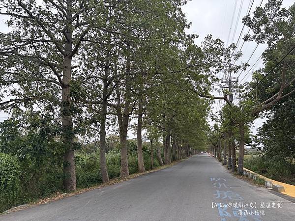 【彰化埤頭brunch】A-bao埤頭彰水店 ⎪一個慢步調