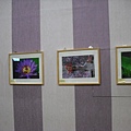 DSCF2010.JPG