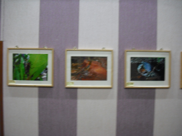 DSCF2011.JPG