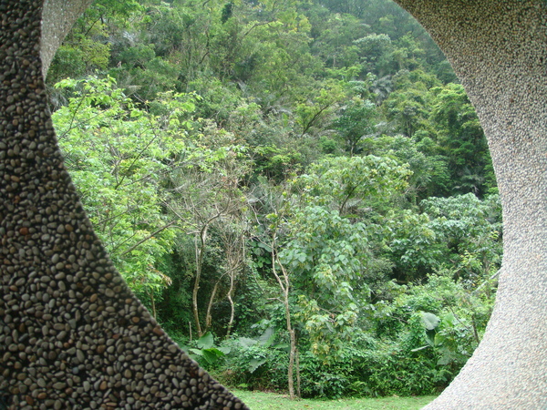 從館內看外面的風景