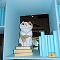 書櫃裡的貓.JPG