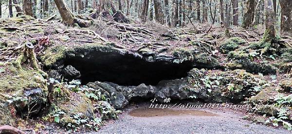 富岳風穴 (24).jpg