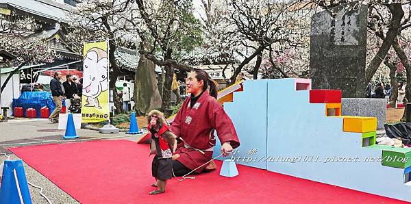月耀如晴雪 梅花似照星 第61回湯島天神梅祭 小祿 Udn部落格