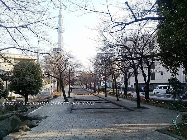 今戶神社 (46).jpg