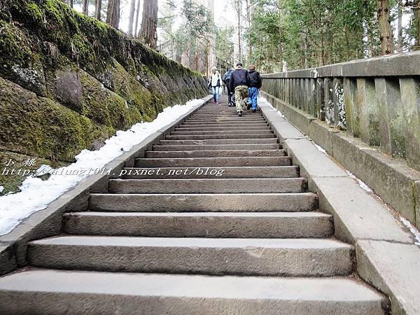 二社一寺 (84).jpg