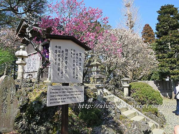 成田山梅祭 (6).JPG 成田山梅祭 (6).JPG