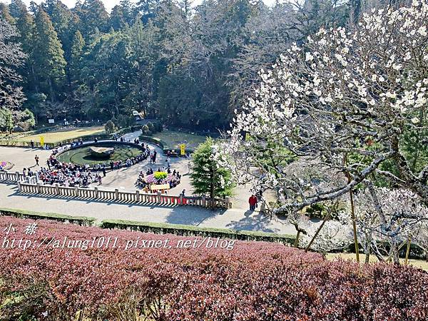 成田山梅祭 (12).JPG