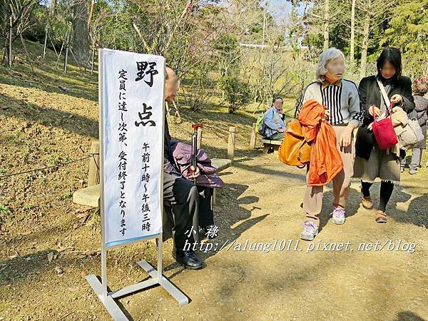 成田山梅祭 (16).JPG