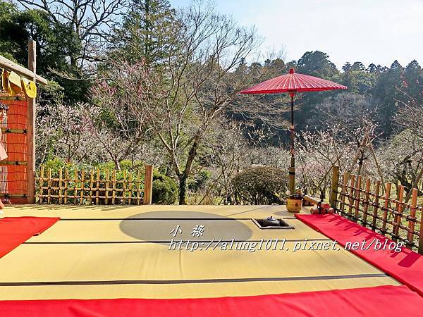 成田山梅祭 (17).JPG 成田山梅祭 (17).JPG