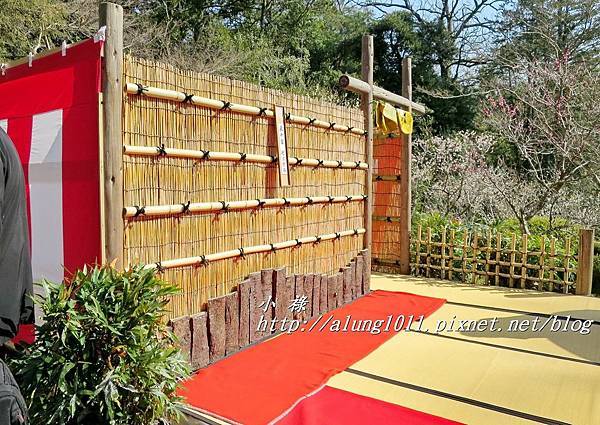 成田山梅祭 (18).JPG