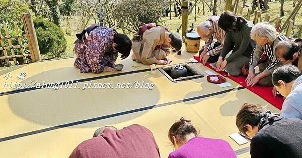 成田山梅祭 (20).JPG 成田山梅祭 (20).JPG