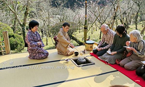 成田山梅祭 (21).JPG