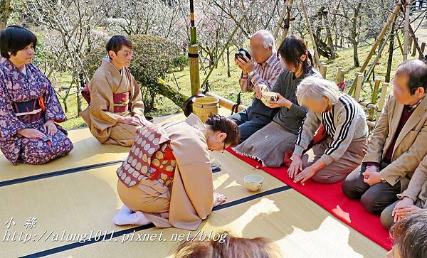 成田山梅祭 (22).JPG 成田山梅祭 (22).JPG