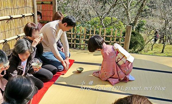 成田山梅祭 (23).JPG