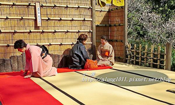 成田山梅祭 (27).JPG