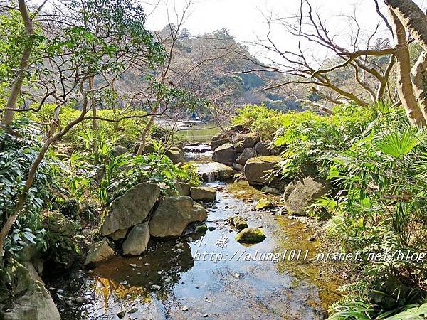 成田山梅祭 (44).JPG