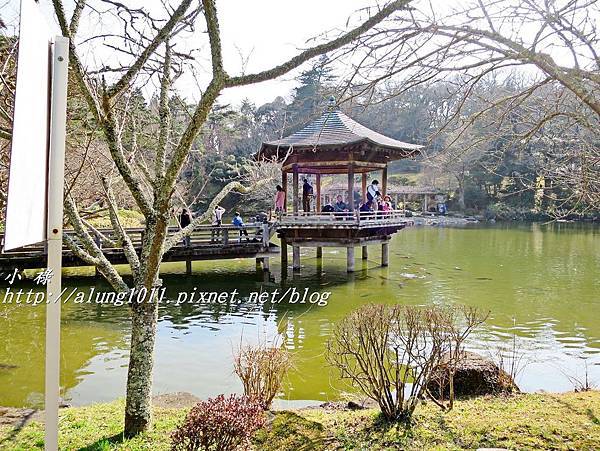 成田山梅祭 (45).JPG 成田山梅祭 (45).JPG