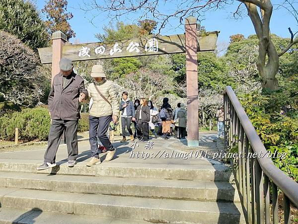 成田山梅祭 (66).JPG 成田山梅祭 (66).JPG