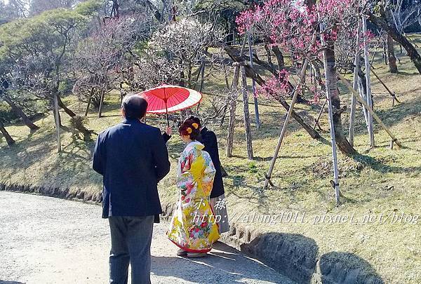 成田山梅祭 (65).jpg 成田山梅祭 (65).jpg