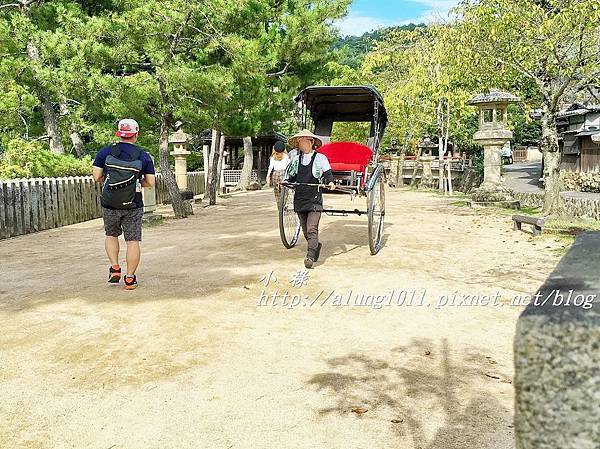 大願寺 (21).JPG