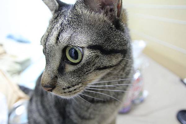 IMG_7735_調整大小.JPG IMG_7735_調整大小.JPG
