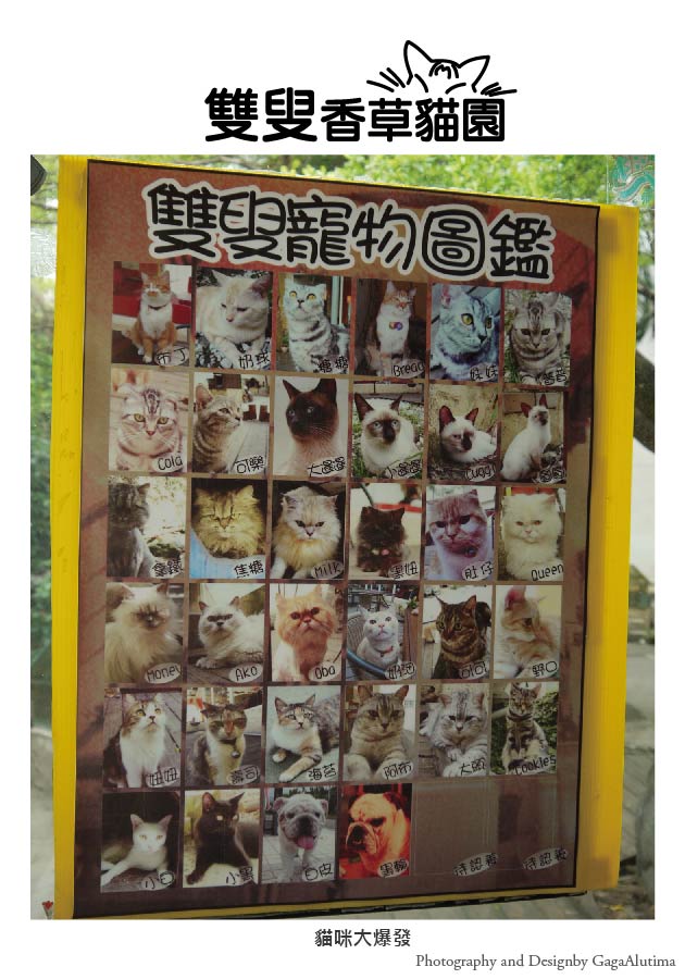雙叟_All-01.jpg 雙叟_All-01.jpg