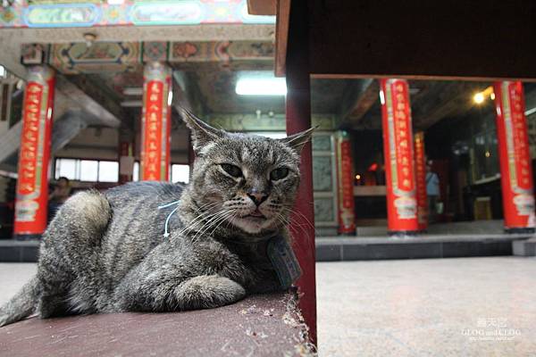 IMG_2892_調整大小.JPG IMG_2892_調整大小.JPG