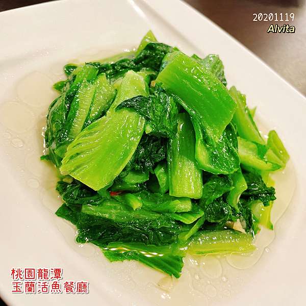 桃園 龍潭 文文吃吃 新鮮現殺一魚多吃 客製化人數套餐最划算 玉蘭活魚餐廳 含菜單 近石門水庫 石管局 石門大草坪