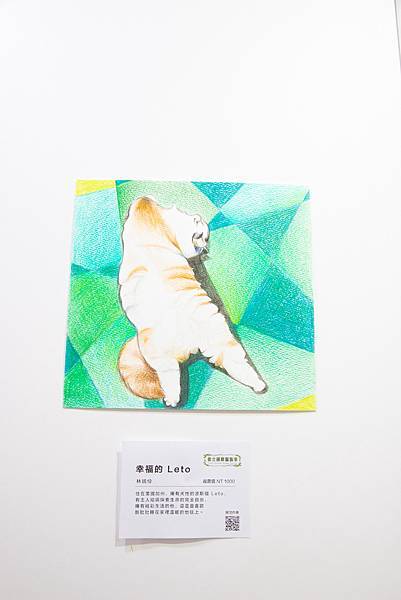 《展覽分享》│貓咪攝影畫展│貓咪攝影展│主題講座│愛心認養│