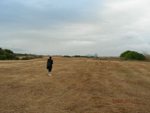 大草原跑跑