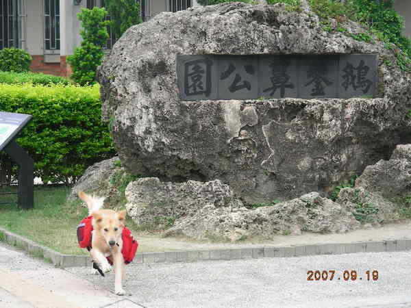 終於到鵝鑾鼻公園了~~~