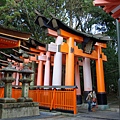 DSC00240.JPG