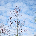 IMG_1444.JPG