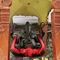 IMG_5615-1.jpg