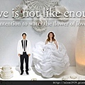 Love is not like enough