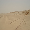 desert-25