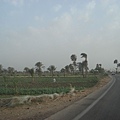 Fayyoum road view
