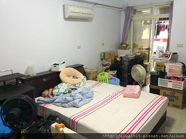 IMG_1229.JPG IMG_1229.JPG