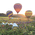 hot-air-balloon-800.gif