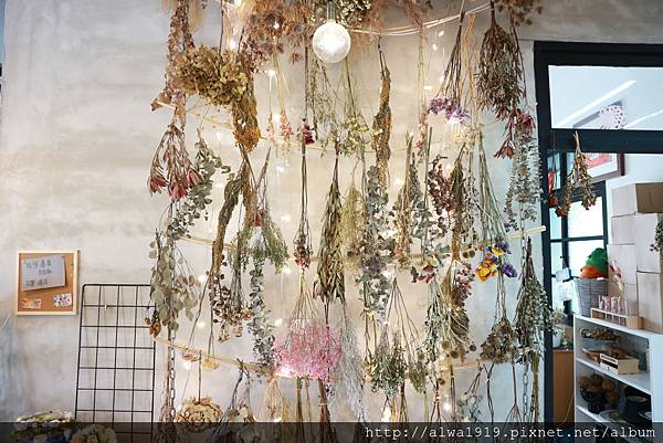 IMG_9528.JPG IMG_9528.JPG