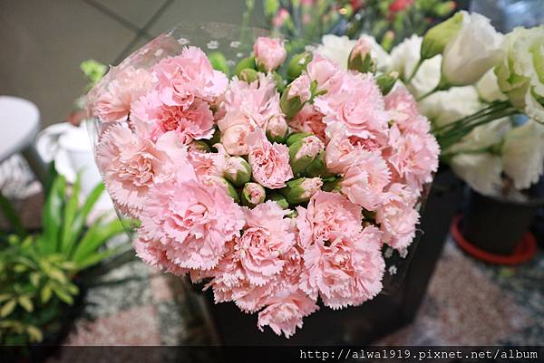 IMG_9647.JPG IMG_9647.JPG