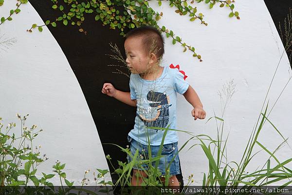 IMG_3282.JPG IMG_3282.JPG