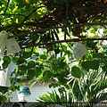 IMG_5386.JPG