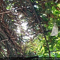 IMG_5396.JPG
